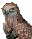 hardcastle-snake eagle                              